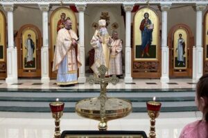 595663938_856508210256424_9035219428578099061_n 595663938_856508210256424_9035219428578099061_n